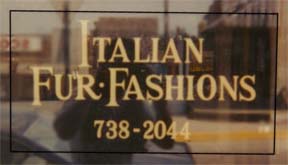 fur fashions