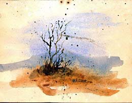 lonetree