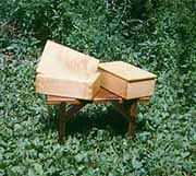 maple_boxsmJPG.JPG (10245 bytes)