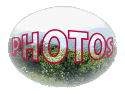 photos.GIF (21664 bytes)